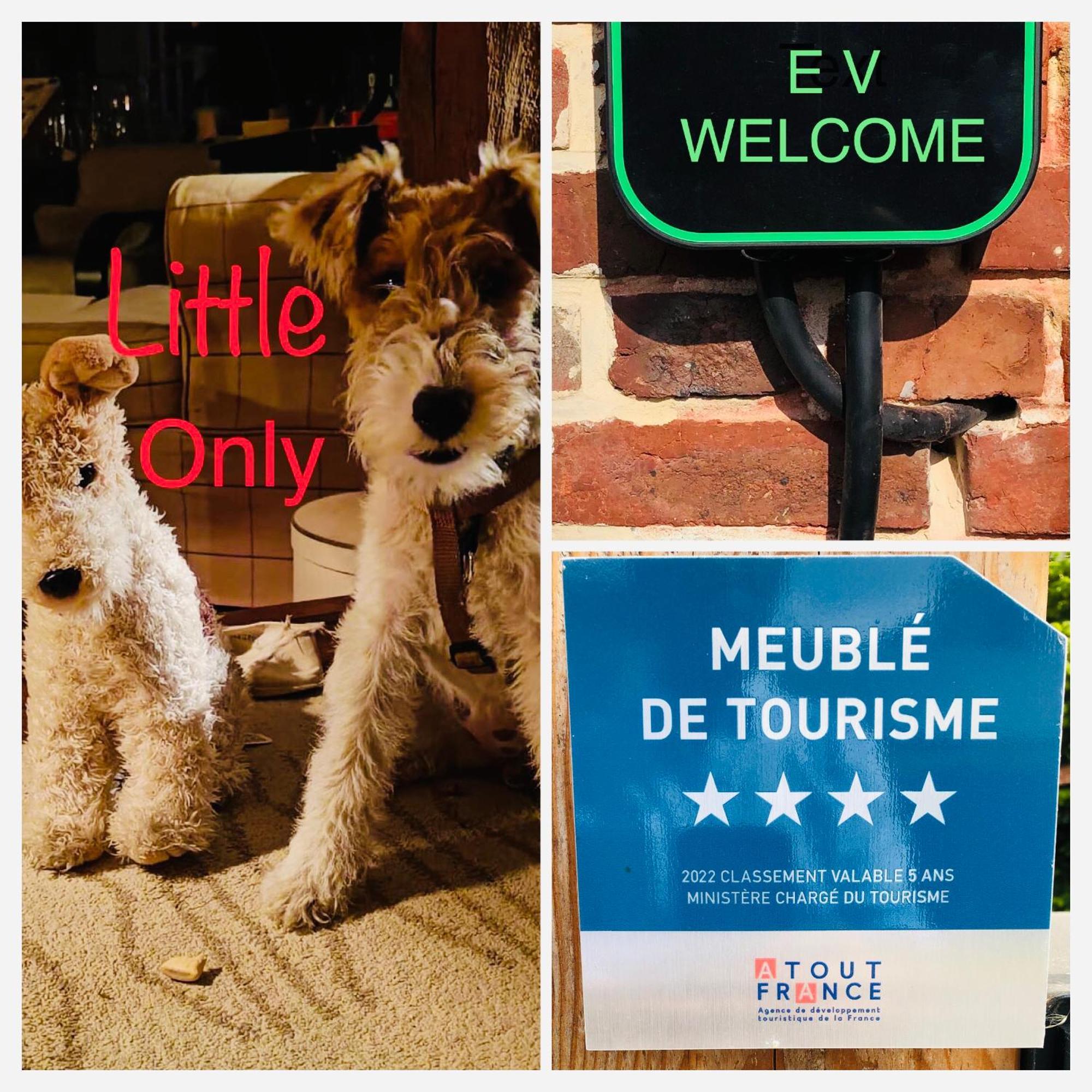 Rouge Cottage Gite 4 Etoiles Billard Gueutteville-les-Gres المظهر الخارجي الصورة